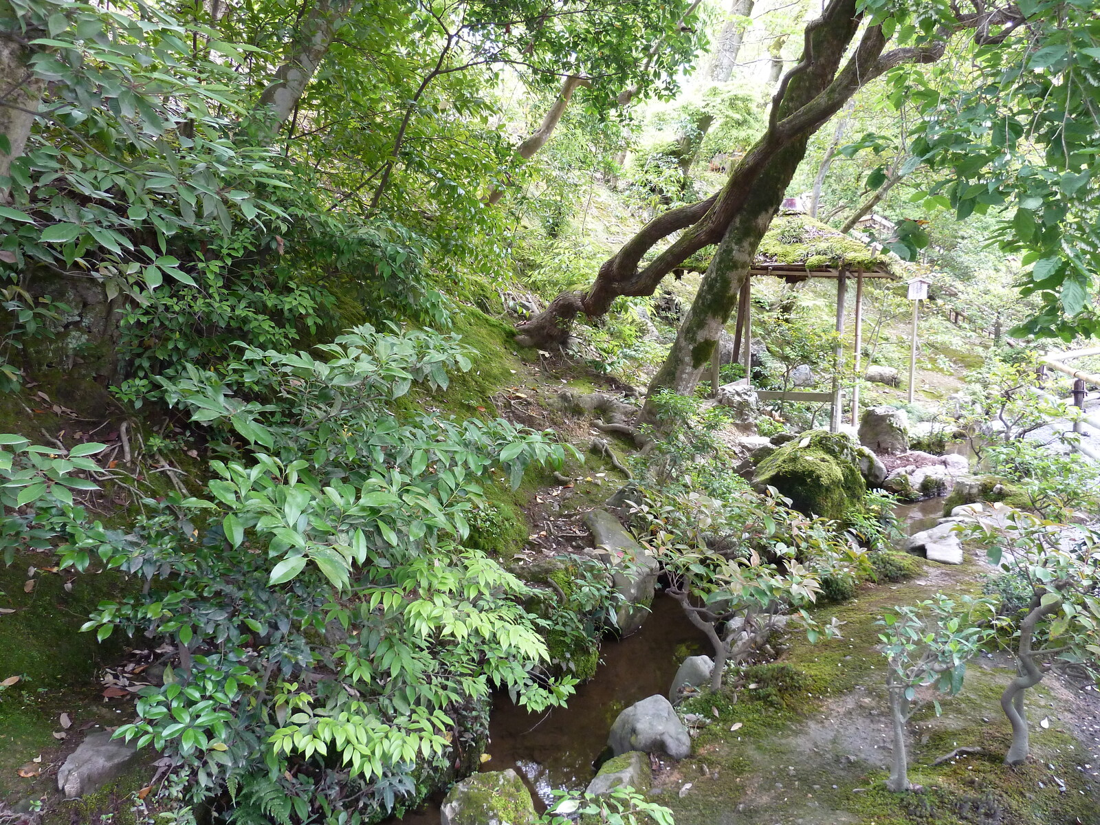 Photo Japon Kyoto Temple Kinkaku-ji (Pavillon d'or) 2010-06 61