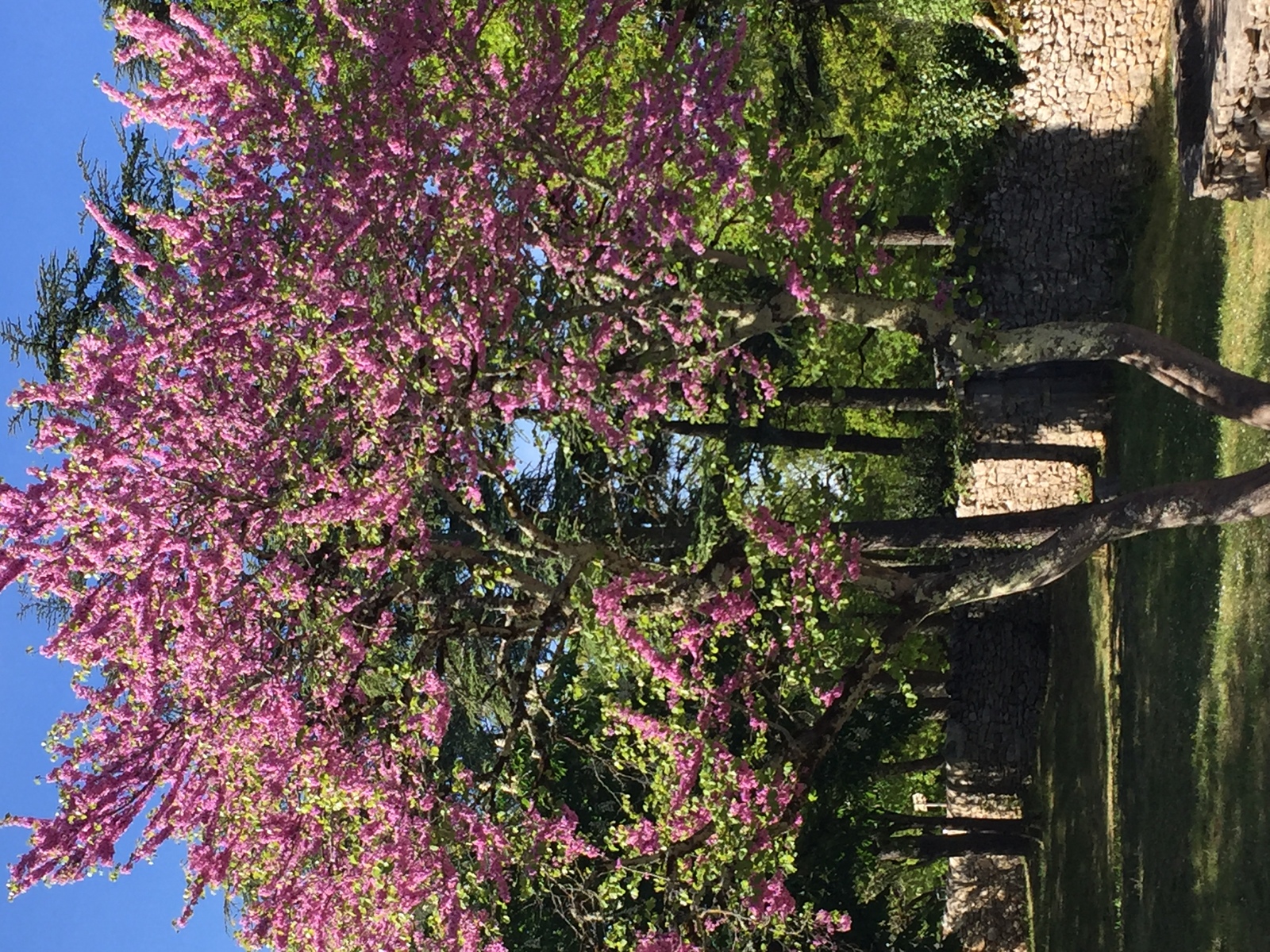 Photo France Rocamadour 2018-04 72