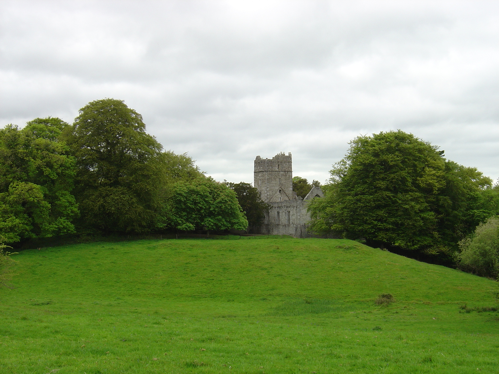 Photo Irlande Kerry Parc National de Killarney Muckross Lake 2004-05 26