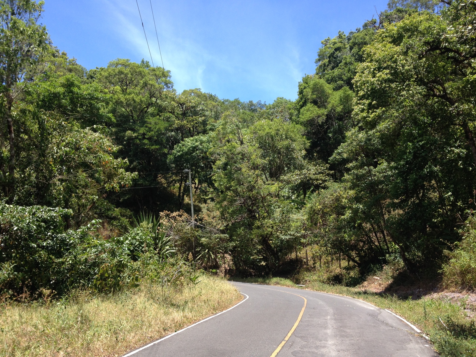 Photo Panama Boquete 2015-03 62