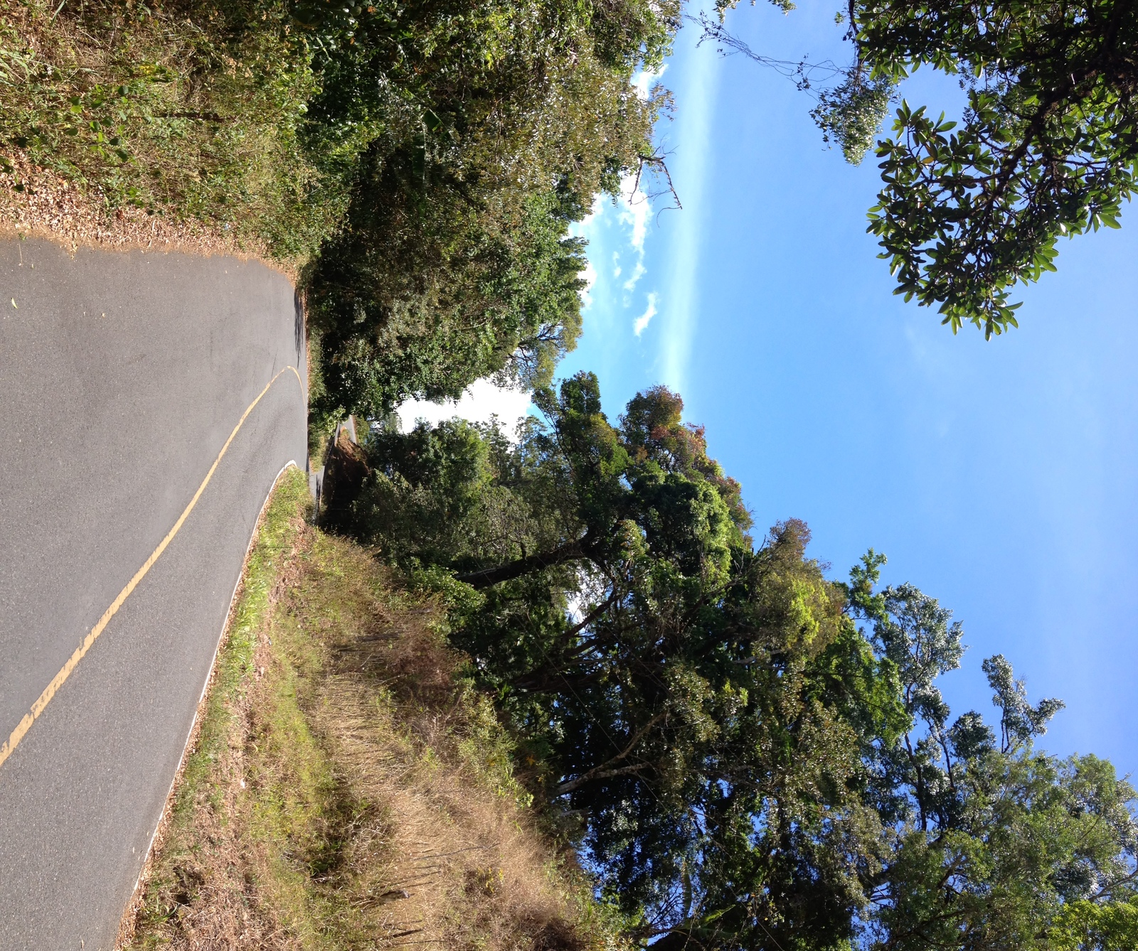 Photo Panama Boquete 2015-03 49