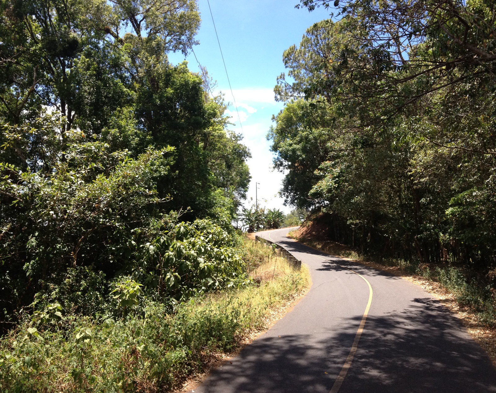 Photo Panama Boquete 2015-03 43