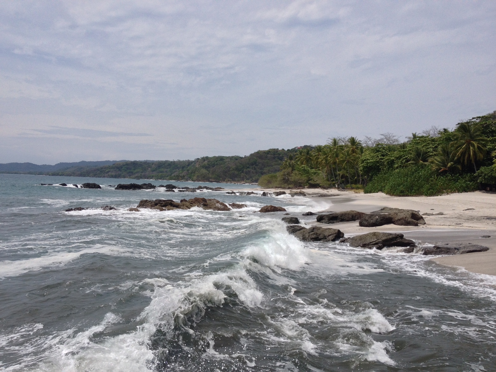 Photo Costa Rica Montezuma 2015-03 614