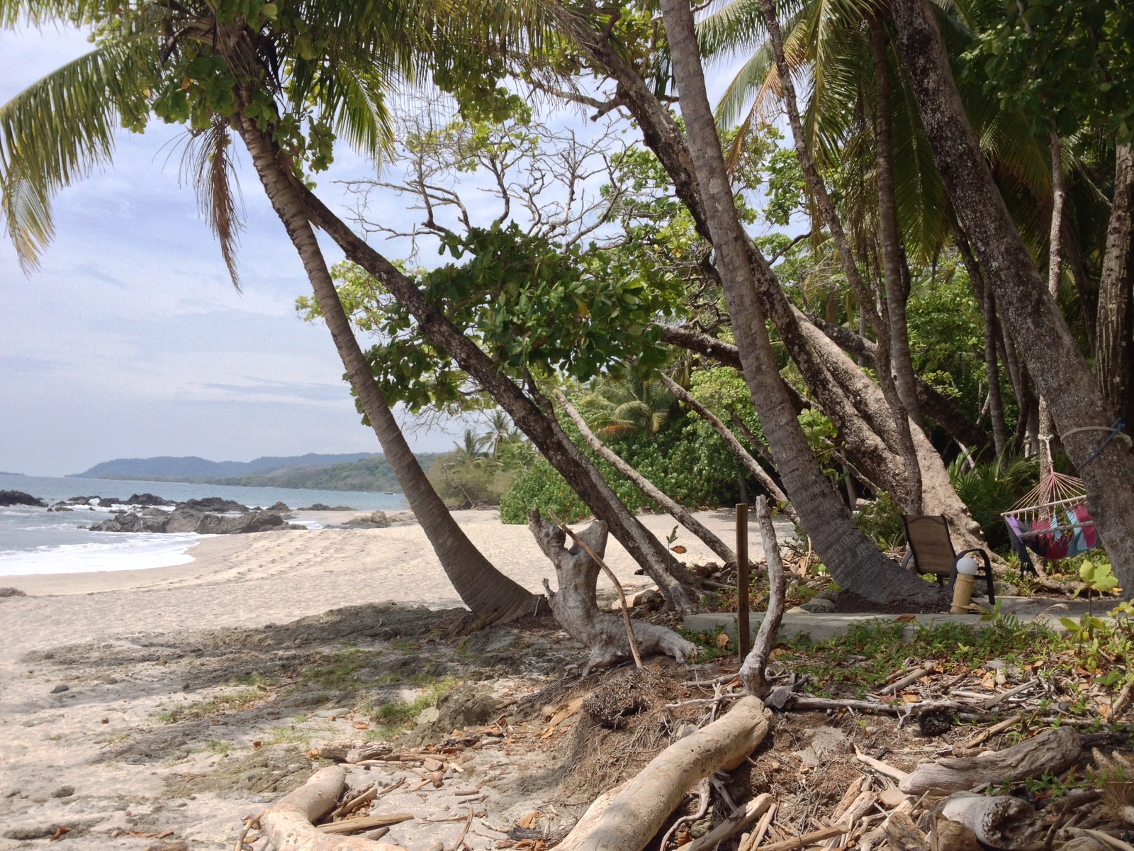 Photo Costa Rica Montezuma 2015-03 502