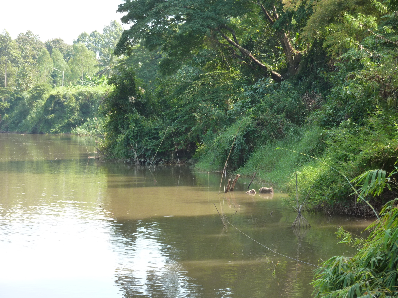 Photo Thaïlande Phitsanulok Chom Thong 2009-12 29