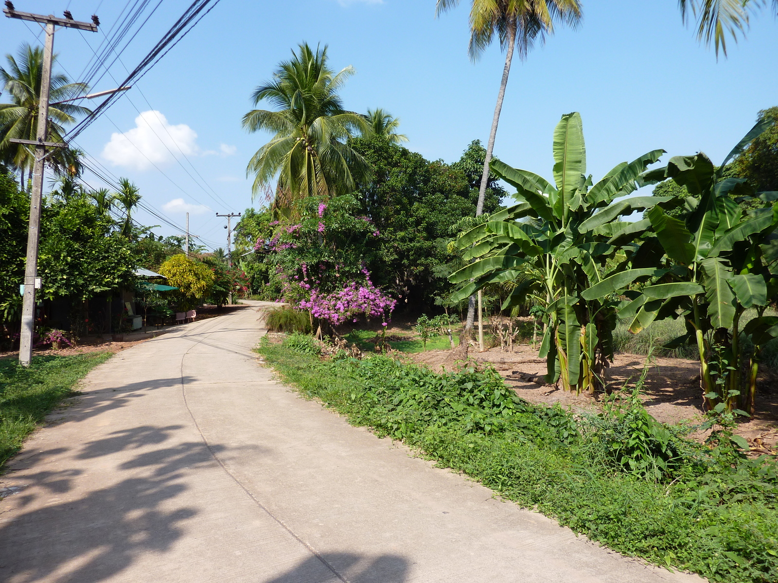 Photo Thaïlande Phitsanulok Chom Thong 2009-12 20