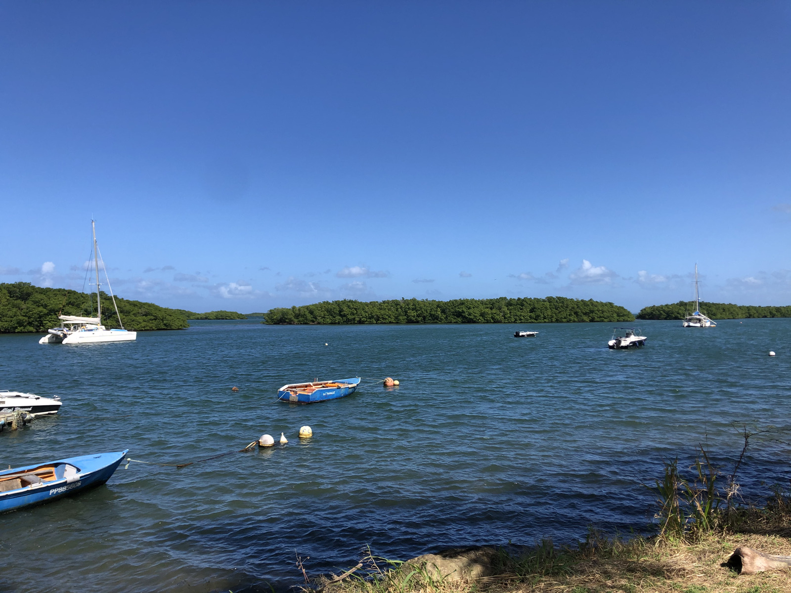 Photo Guadeloupe Sainte Rose 2021-02 1