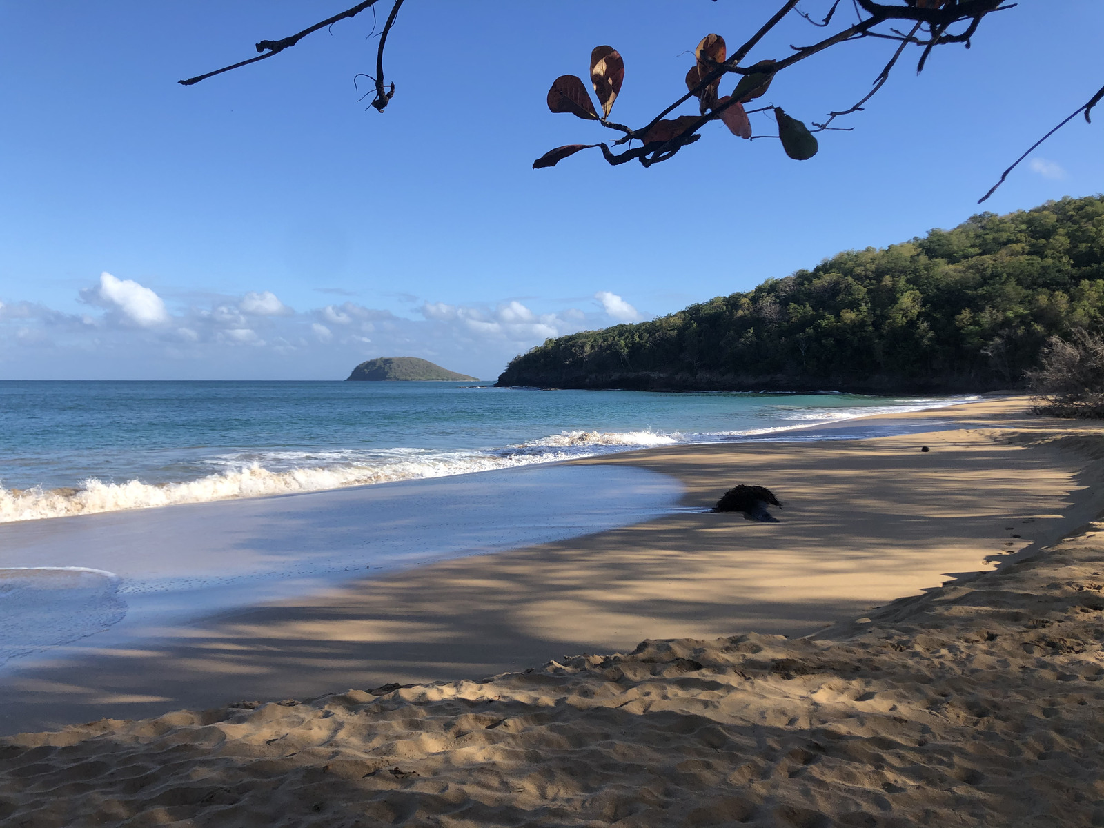 Photo Guadeloupe Plage de la Perle 2021-02 48