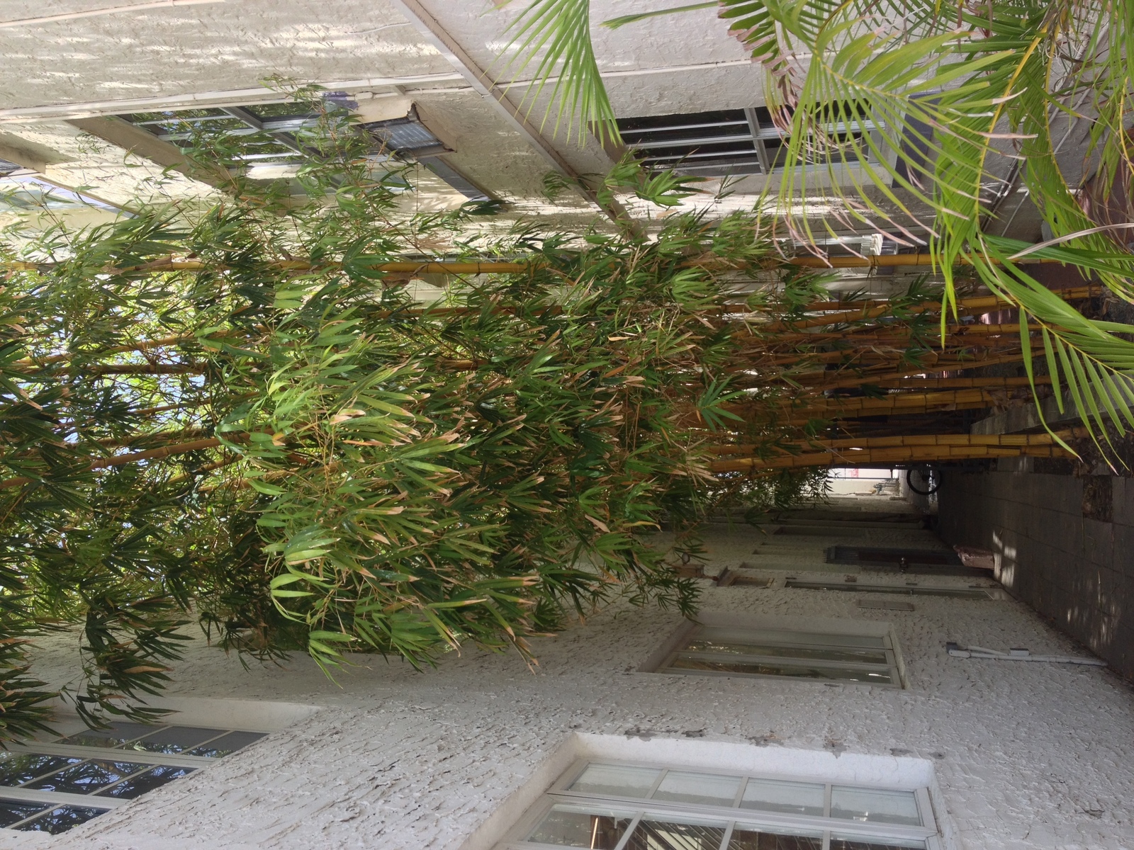Photo États-Unis Miami 2015-03 97