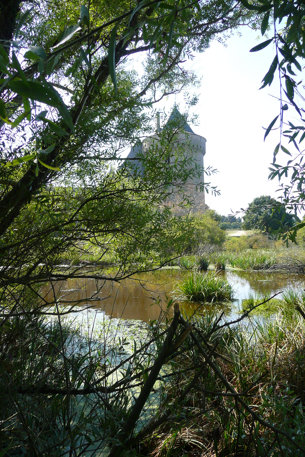 Photo France Suscinio 2007-09 38