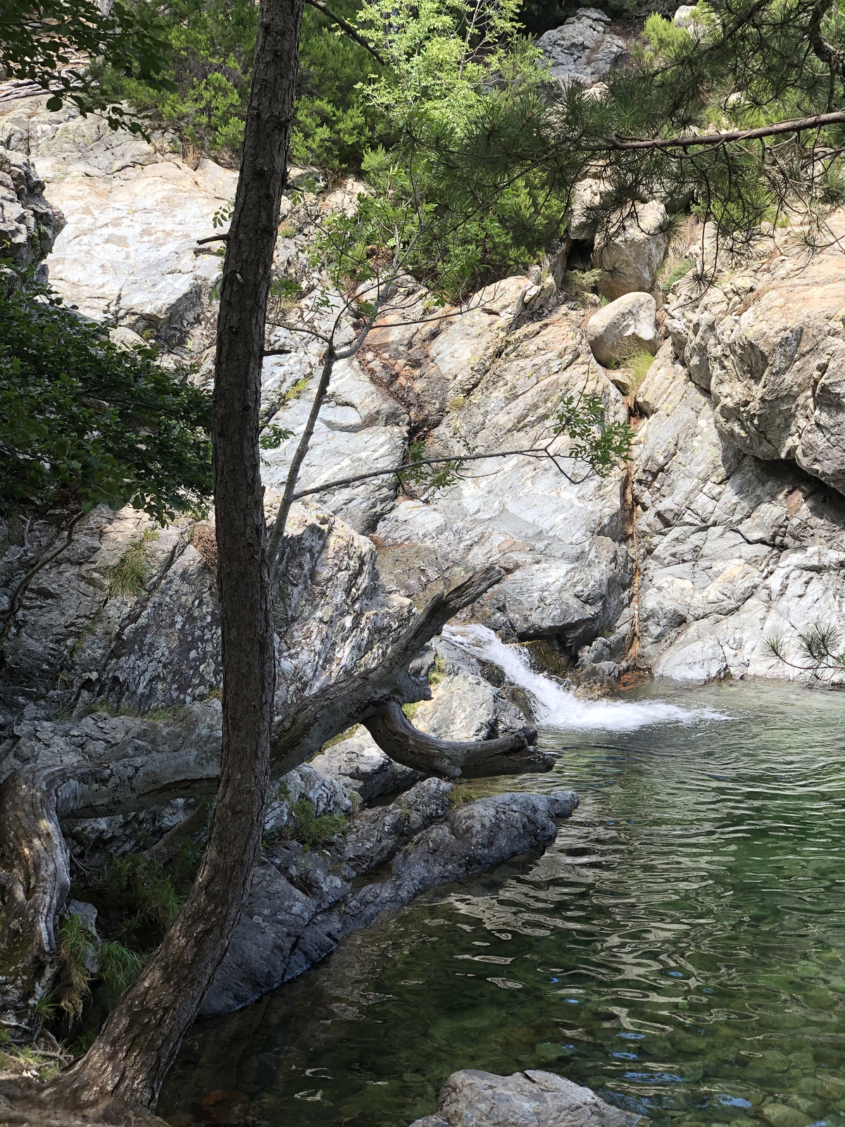 Photo France Corse Cascade des Anglais 2020-07 35