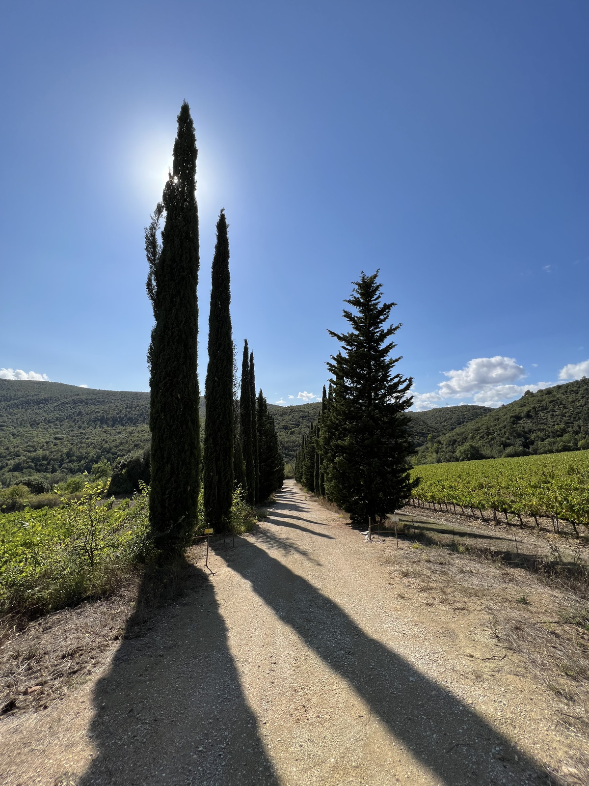 Photo Italie Toscane 2021-09 18