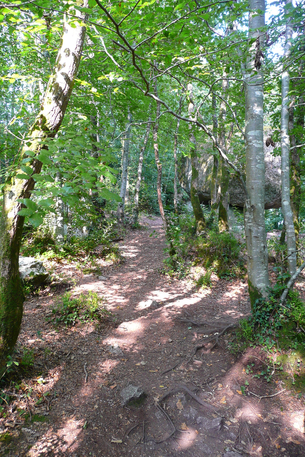 Photo France Huelgoat 2007-08 54
