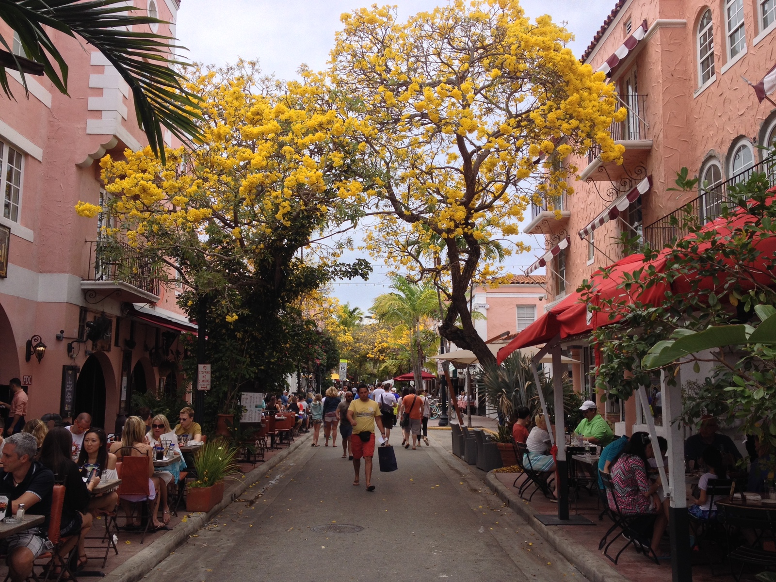 Photo États-Unis Miami 2015-03 77