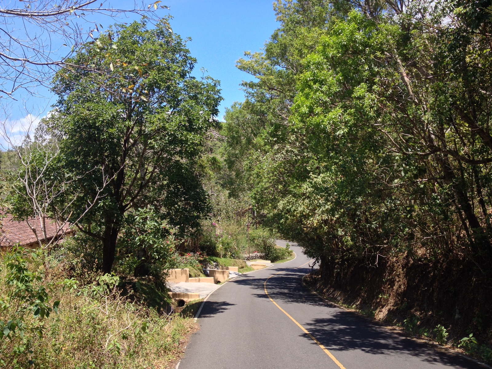 Photo Panama Boquete 2015-03 91