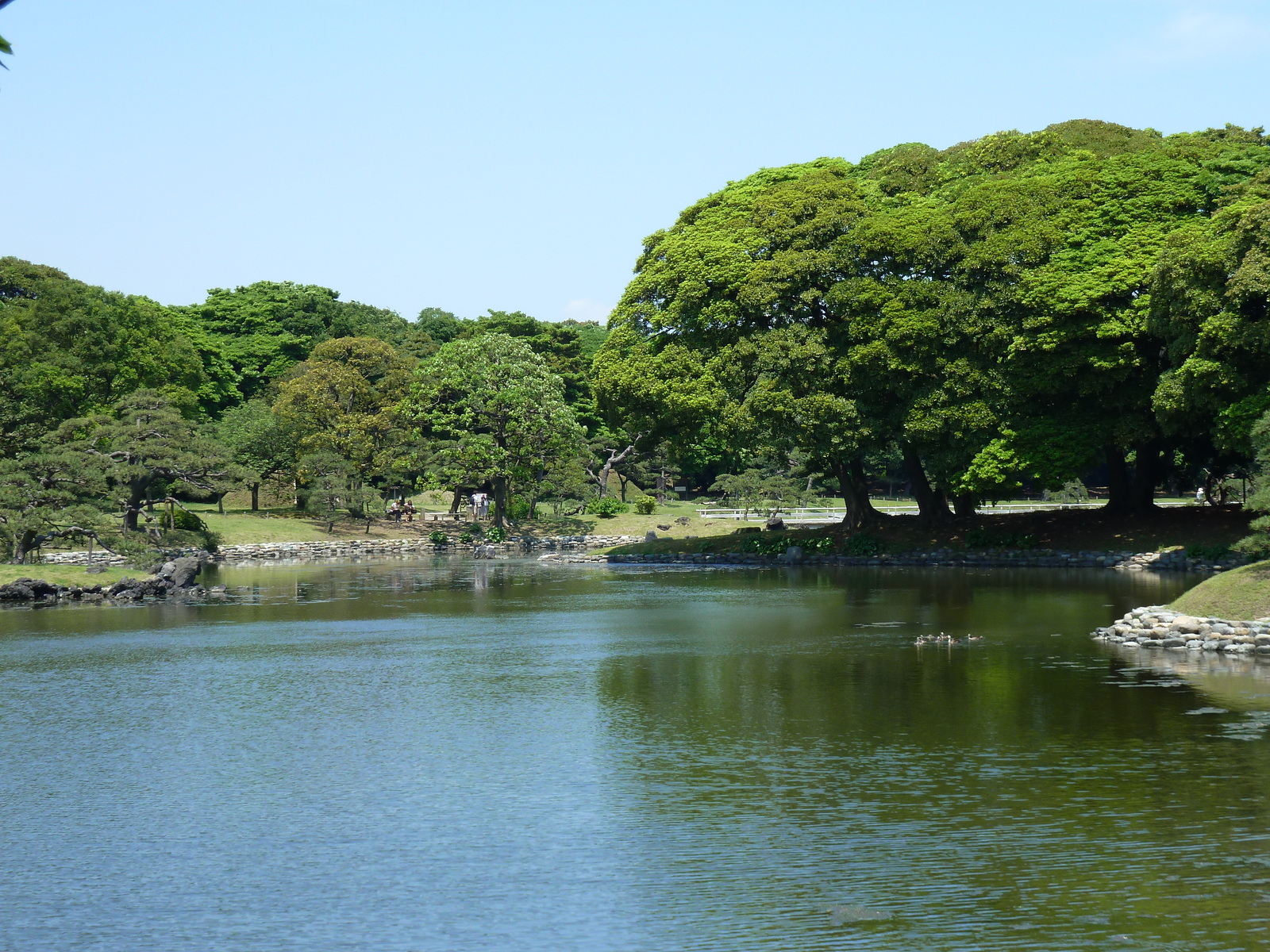 Photo Japon Tokyo Jardins Hama rikyu 2010-06 33