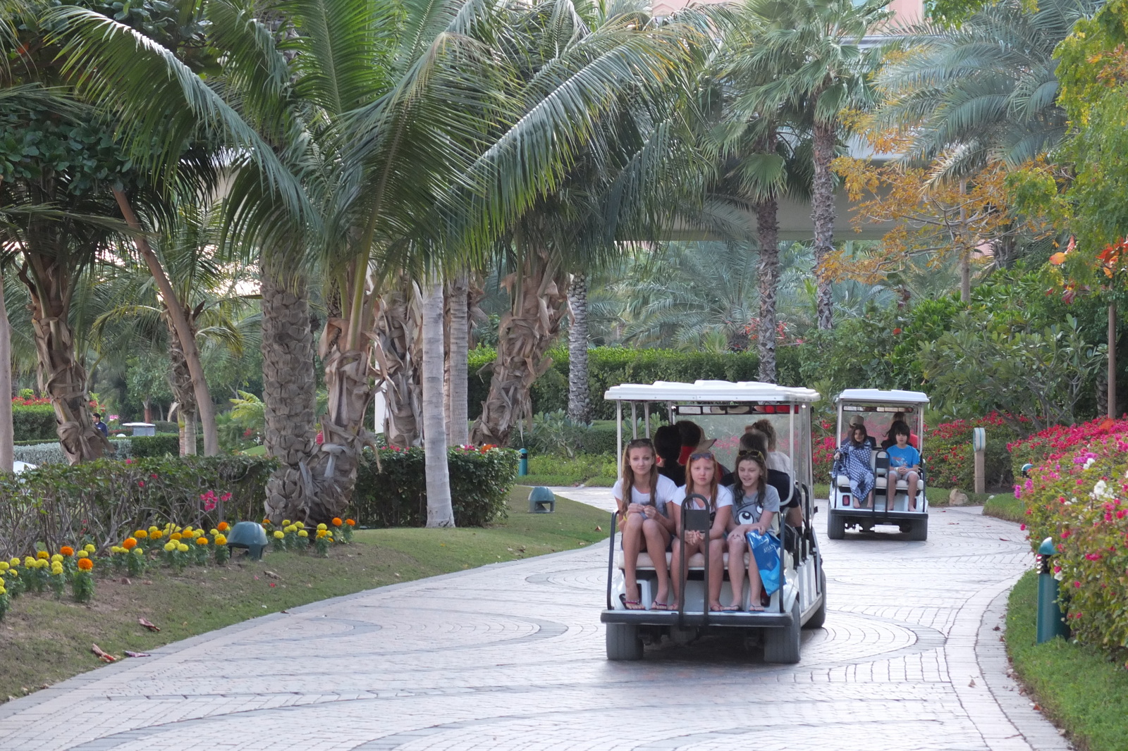 Photo Émirats arabes unis Dubai Hotel Atlantis 2014-02 160