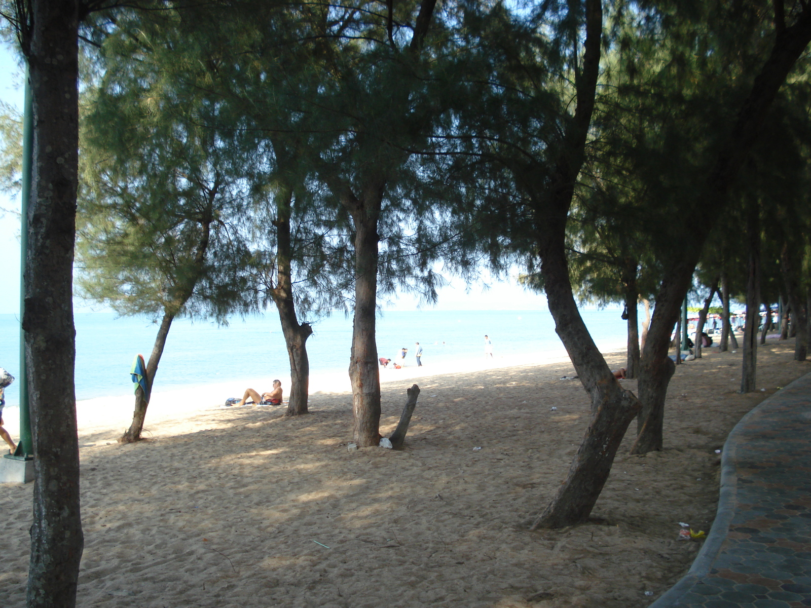 Photo Thaïlande Pattaya Plage de Dongtan 2008-01 23
