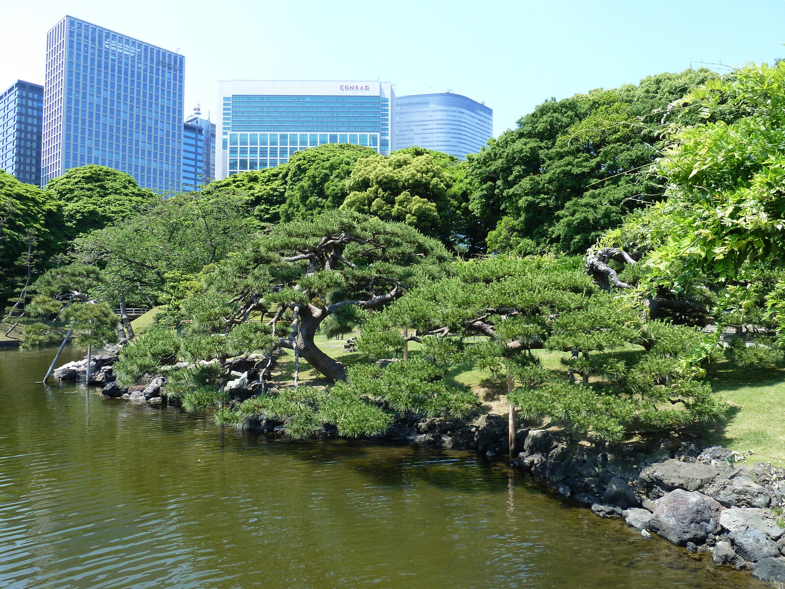 Photo Japon Tokyo Jardins Hama rikyu 2010-06 60