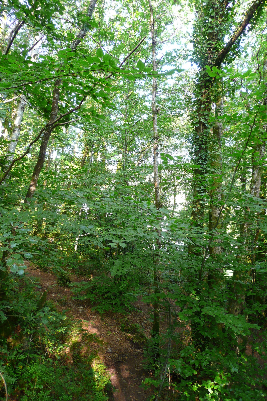 Photo France Huelgoat 2007-08 55