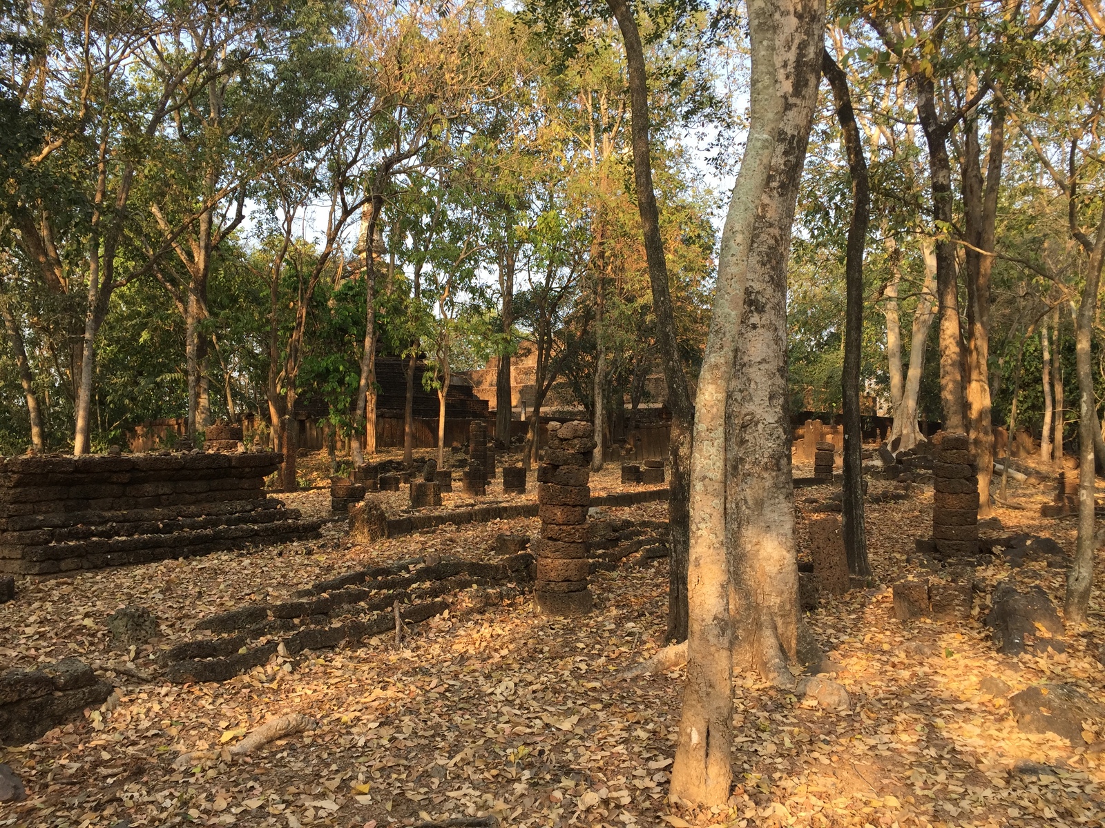 Photo Thaïlande Parc Si satchanalai 2014-12 170