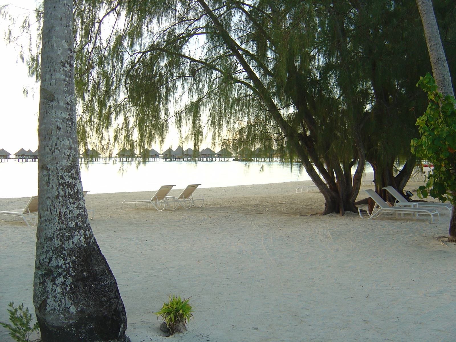 Photo Polynésie Hotel Meridien Bora Bora 2006-04 225