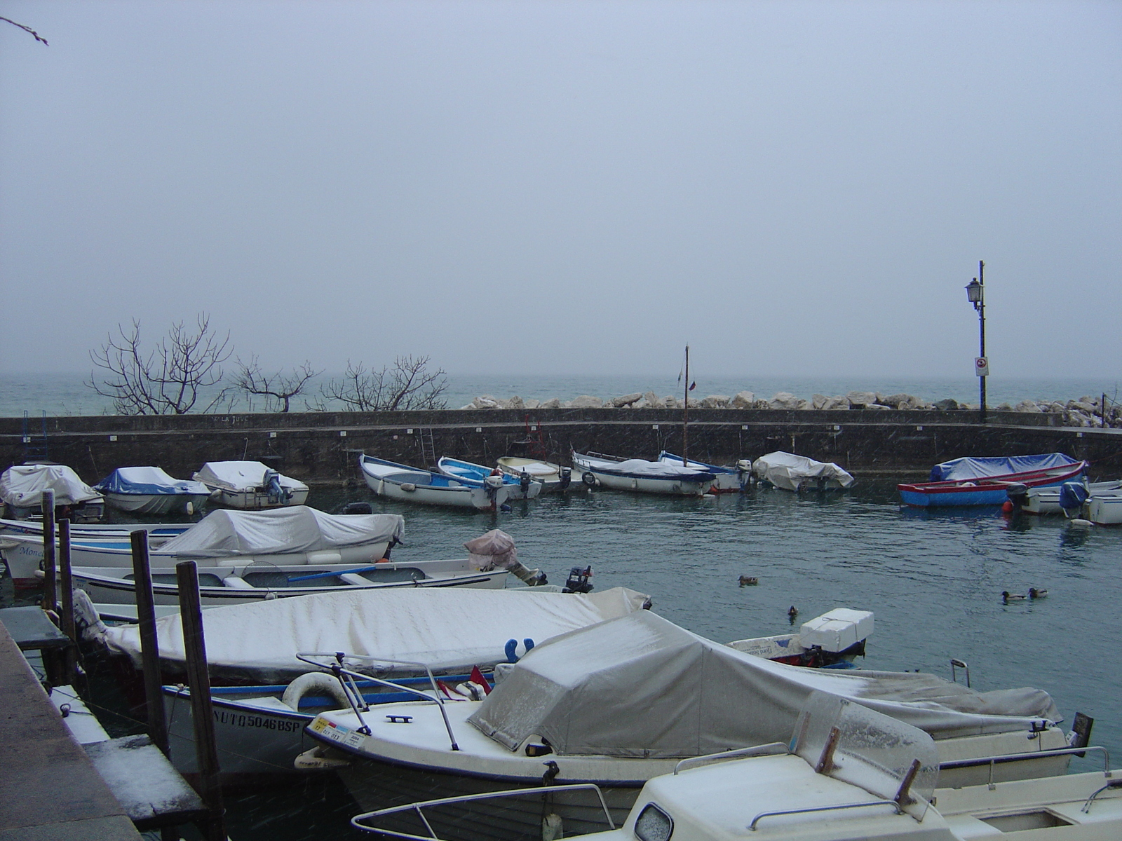 Photo Italie Desenzano del Garda 2005-03 10