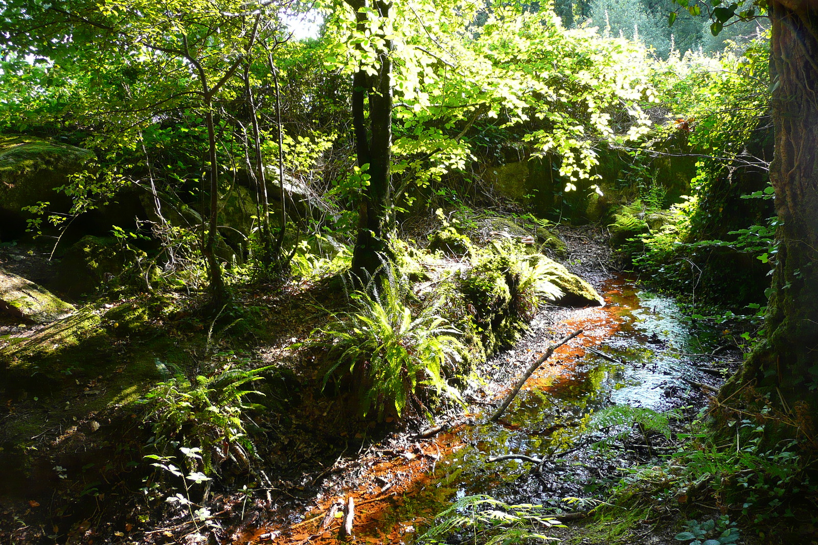 Photo France Huelgoat 2007-08 184
