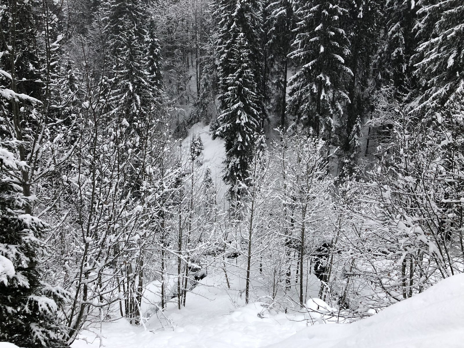 Photo France La Clusaz 2017-12 74