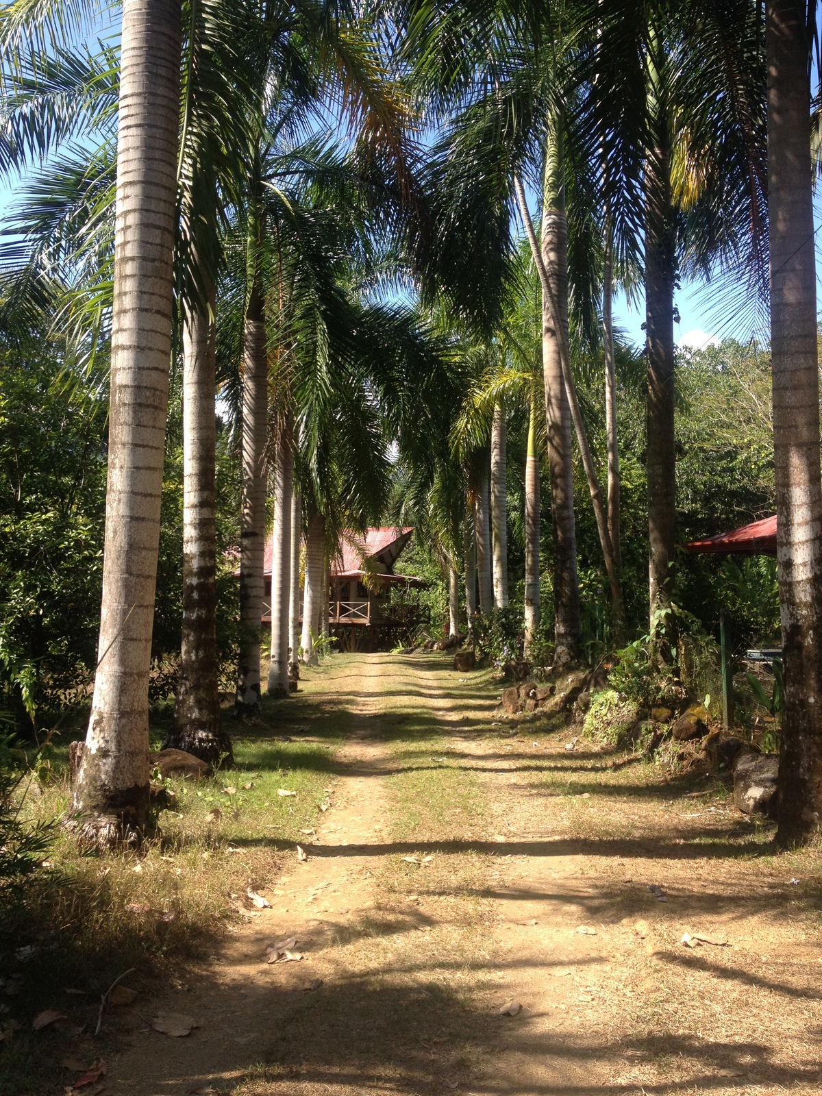Photo Costa Rica Uvita 2015-03 36