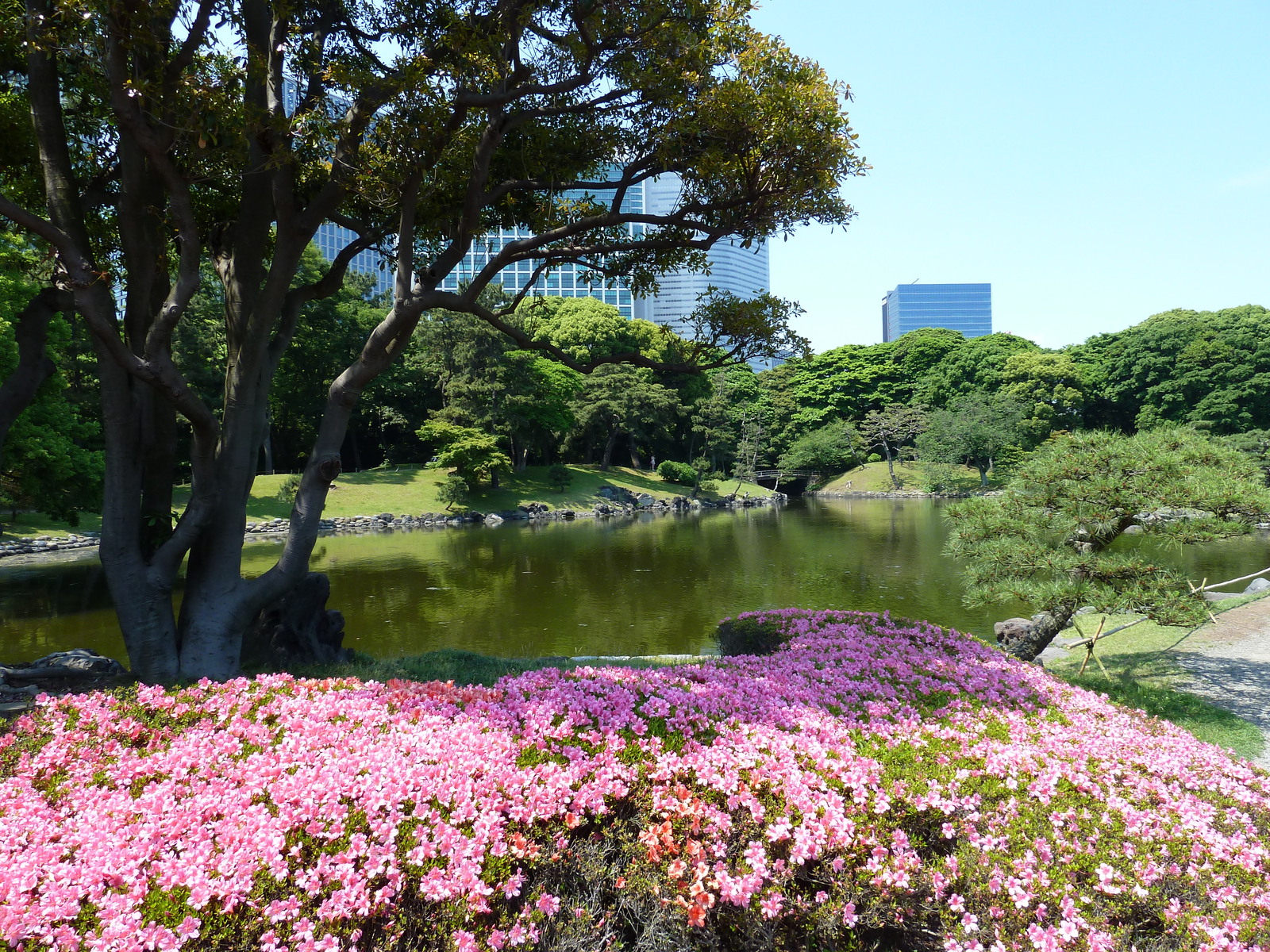 Photo Japon Tokyo Jardins Hama rikyu 2010-06 82