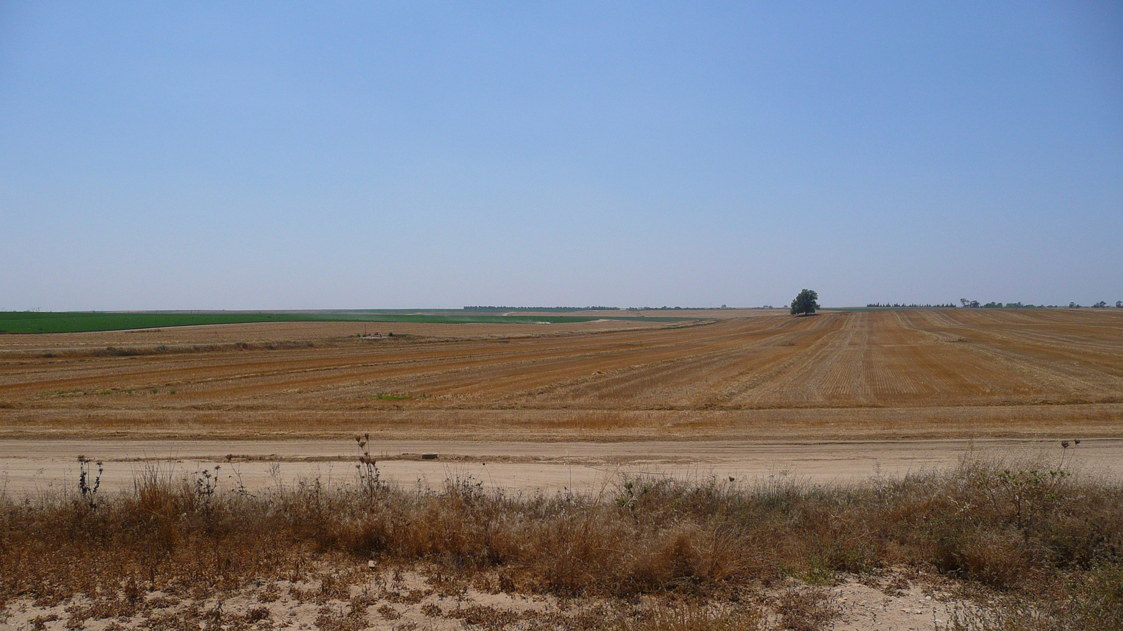 Photo Israel Route de Ashkelon à Arad 2007-06 20