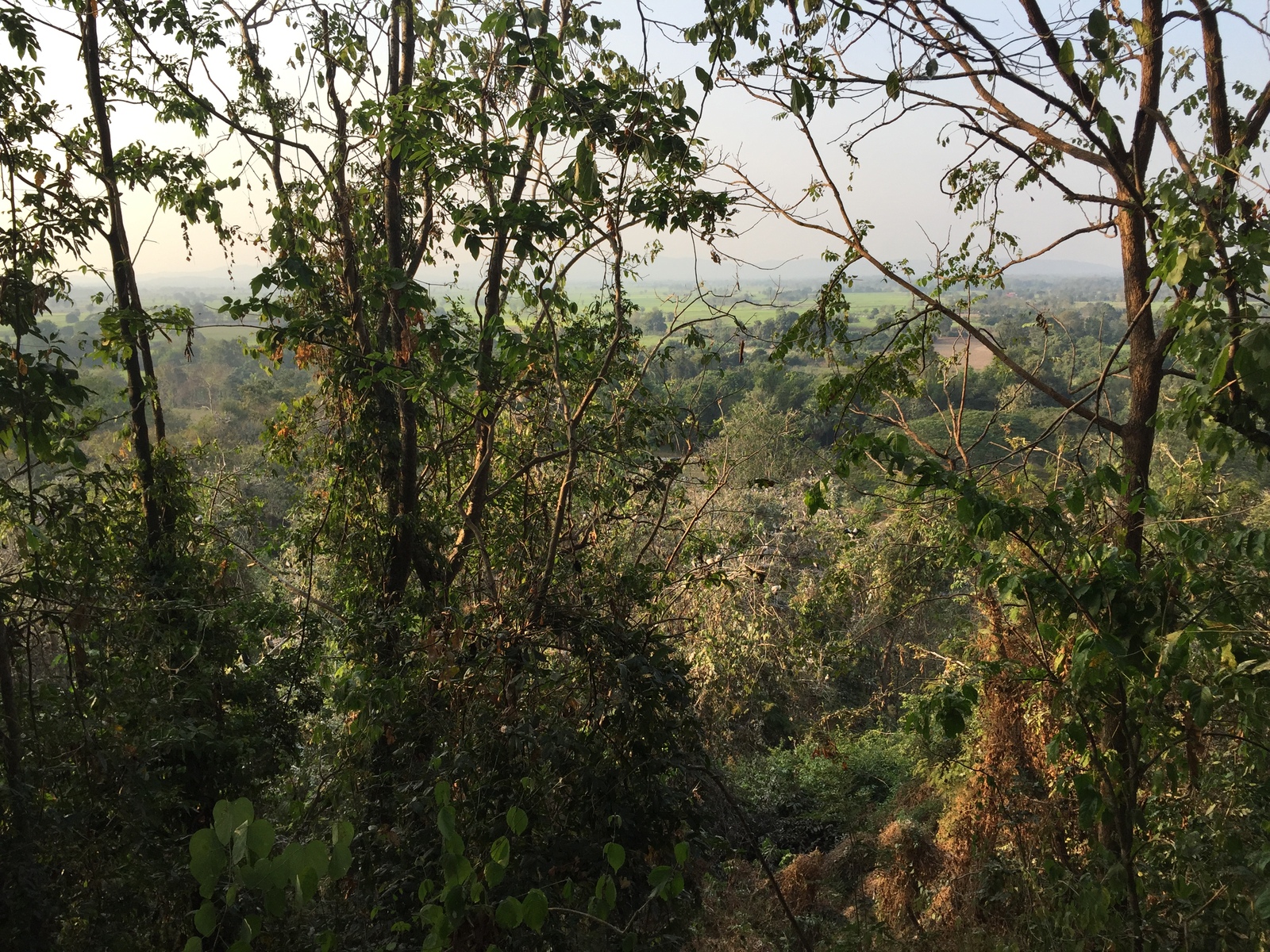 Photo Thaïlande Parc Si satchanalai 2014-12 157