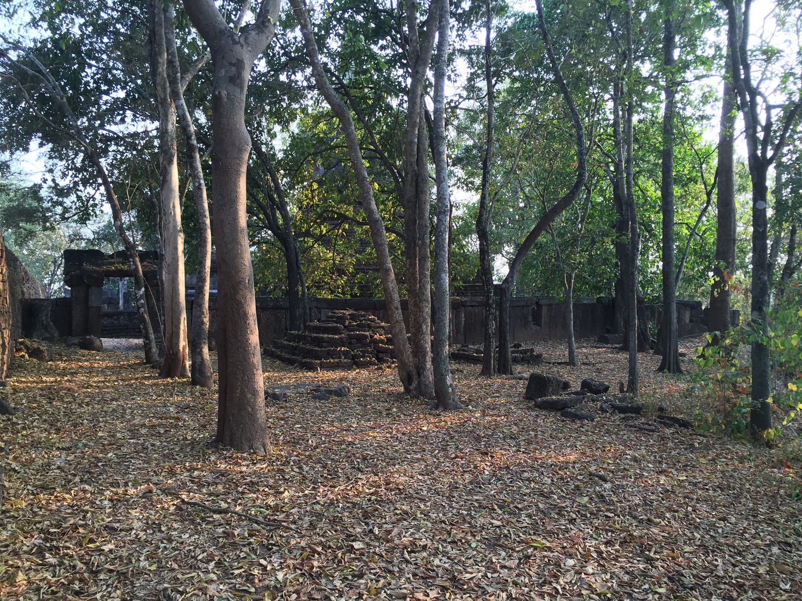 Photo Thaïlande Parc Si satchanalai 2014-12 168