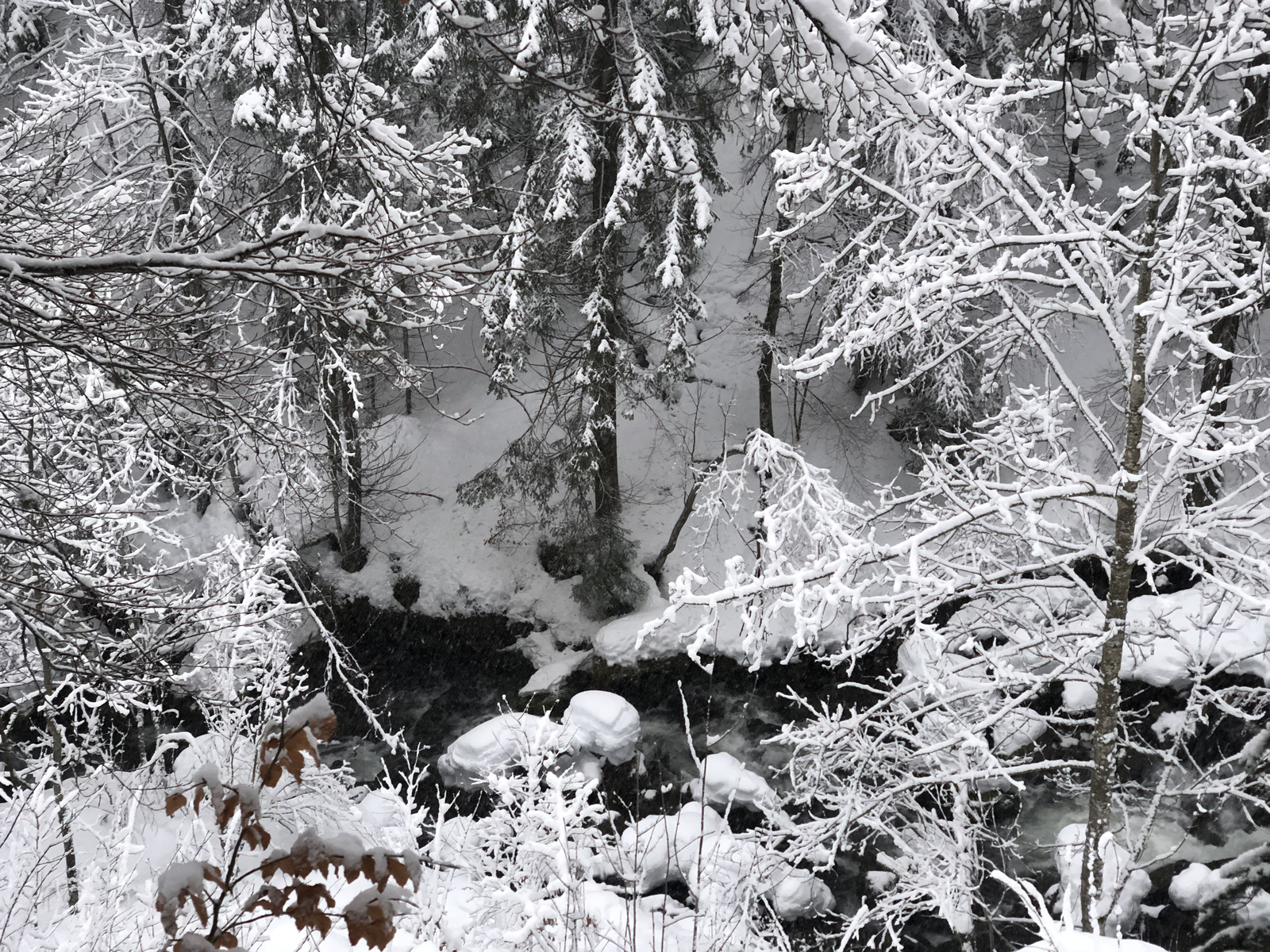 Photo France La Clusaz 2017-12 329