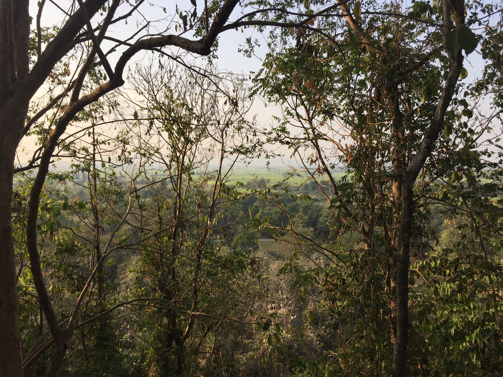Photo Thaïlande Parc Si satchanalai 2014-12 6