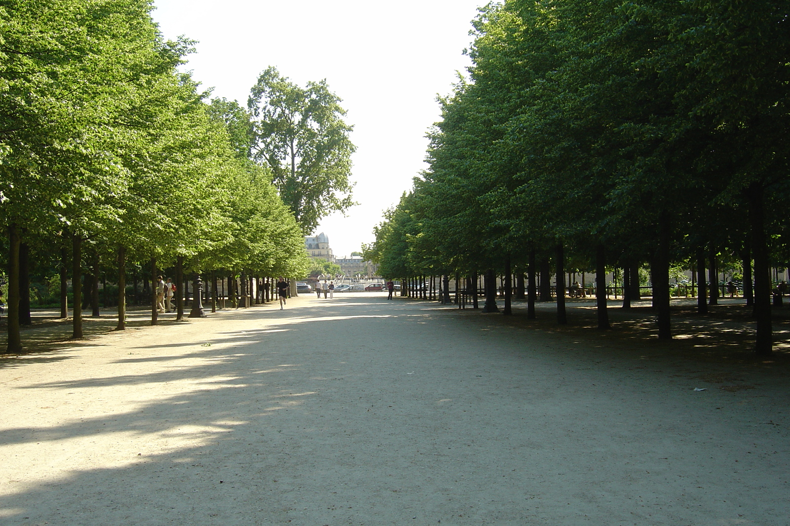 Photo France Paris Jardin des Tuileries 2007-05 126