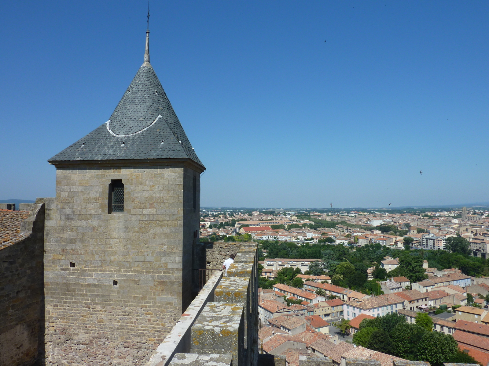 Photo France Carcassonne 2009-07 119