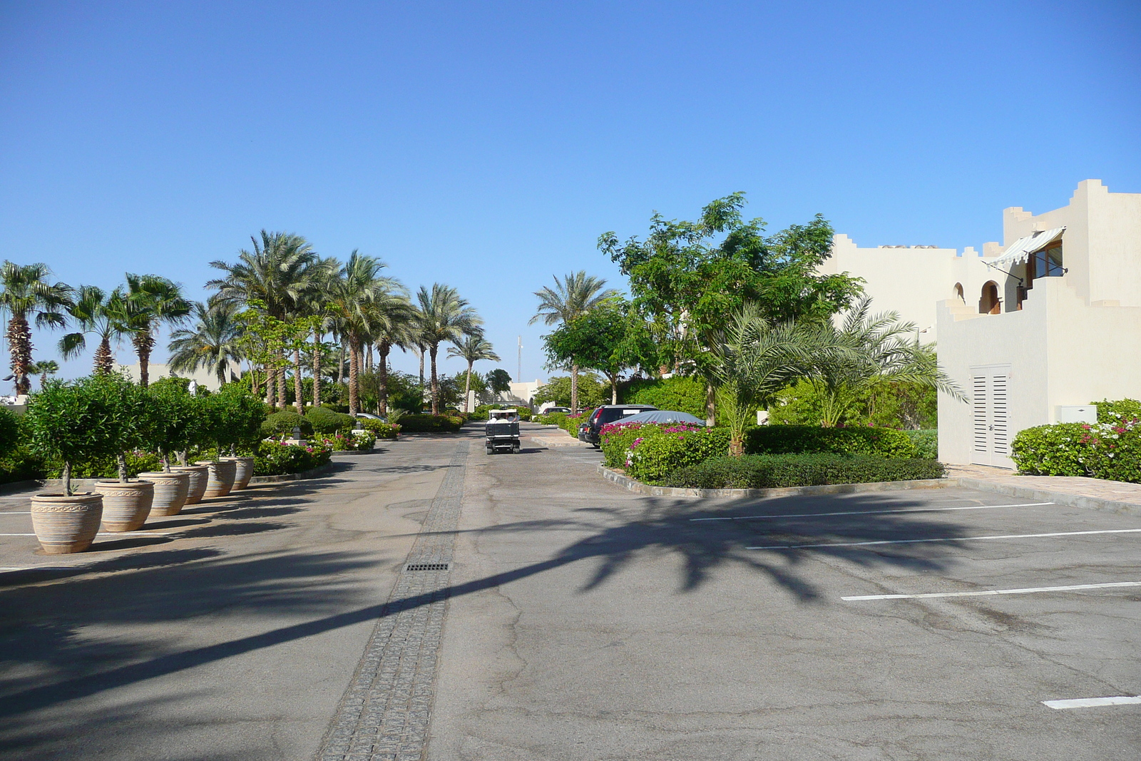 Photo Égypte Sharm el Sheikh Hotel Four Seasons 2008-06 16