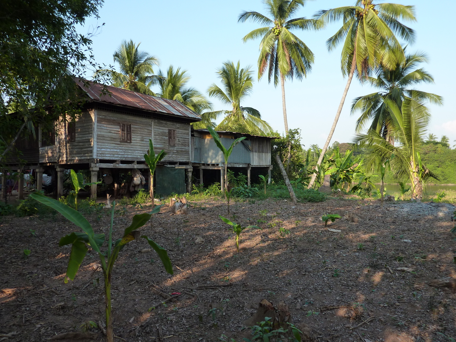 Photo Thaïlande Phitsanulok Chom Thong 2009-12 32