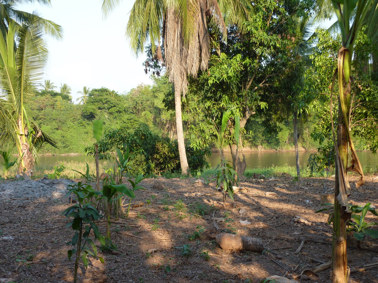 Photo Thaïlande Phitsanulok Chom Thong 2009-12 25