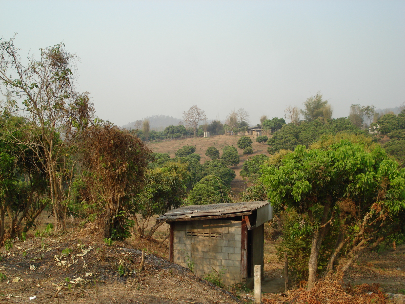 Photo Thaïlande Route de Chiang Mai à Pai 2007-02 97