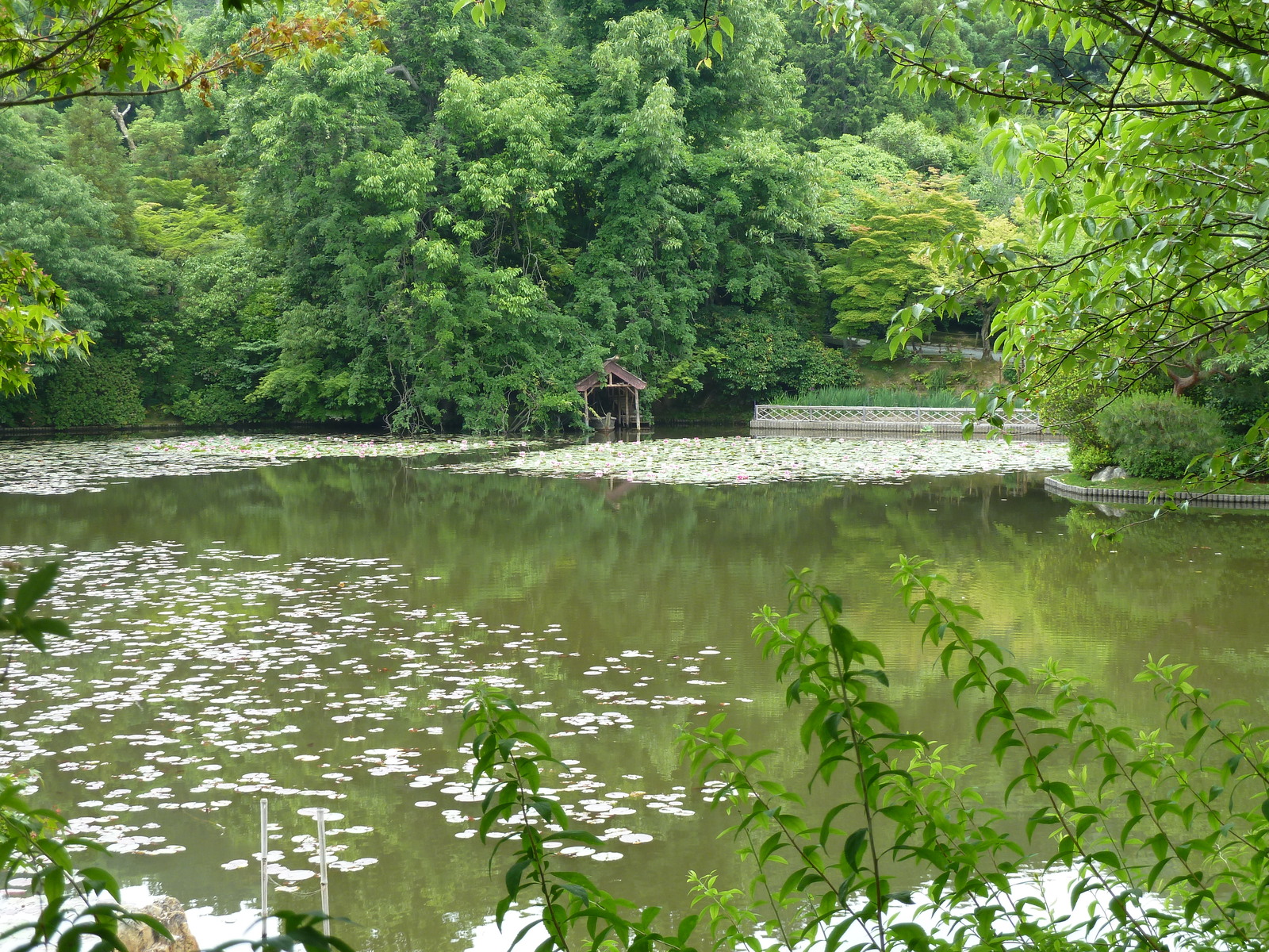 Photo Japon Kyoto temple Ryoanji 2010-06 66