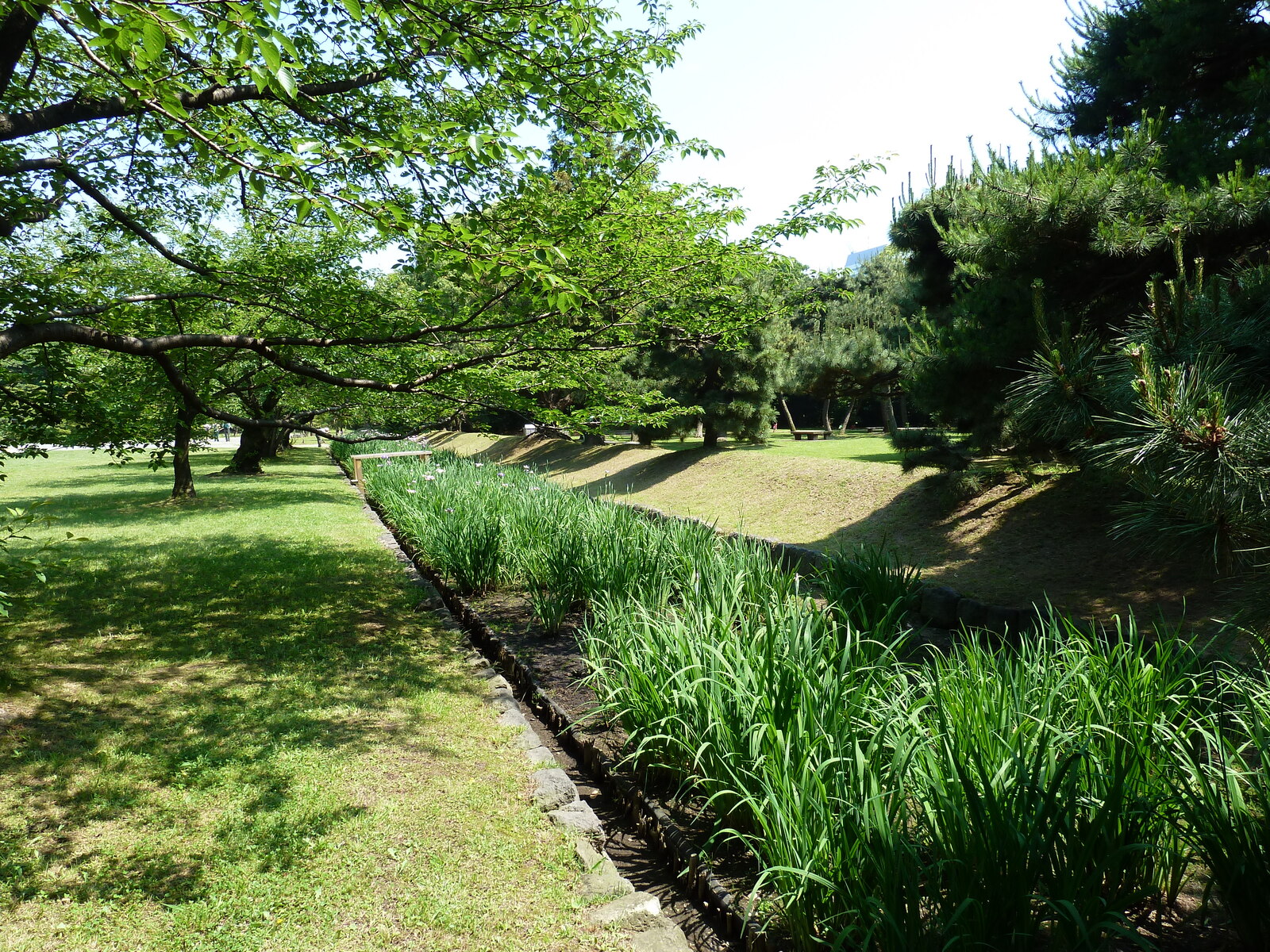 Photo Japon Tokyo Jardins Hama rikyu 2010-06 74