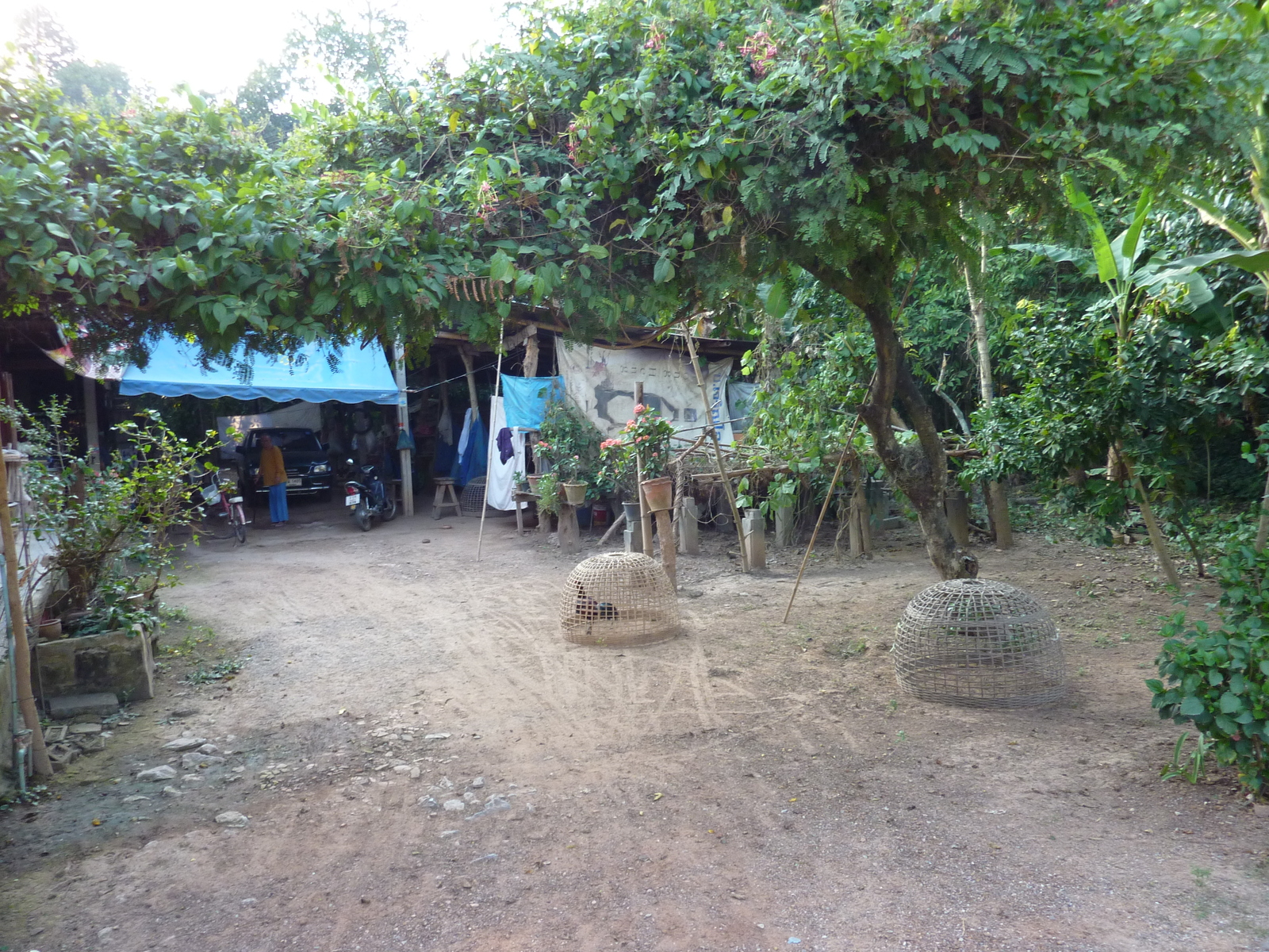 Photo Thaïlande Phitsanulok Chom Thong 2009-12 22
