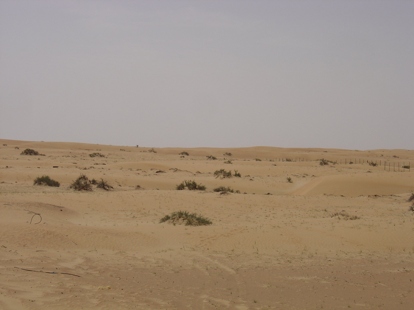 Photo Émirats arabes unis Route de Dubai à Al Ain 2005-03 17