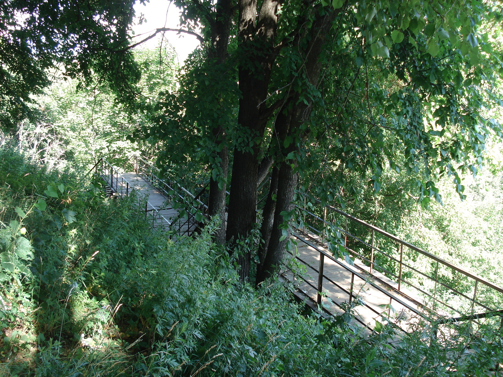 Photo Russie Vladimir 2006-07 42