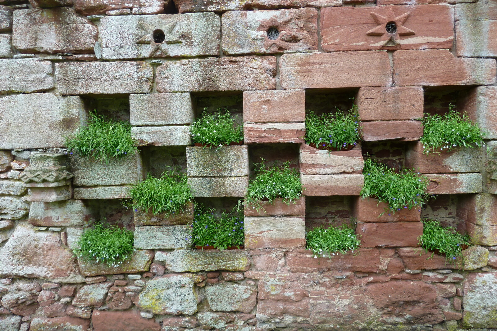 Photo Royaume-Uni Écosse Edzell Castle 2011-07 14