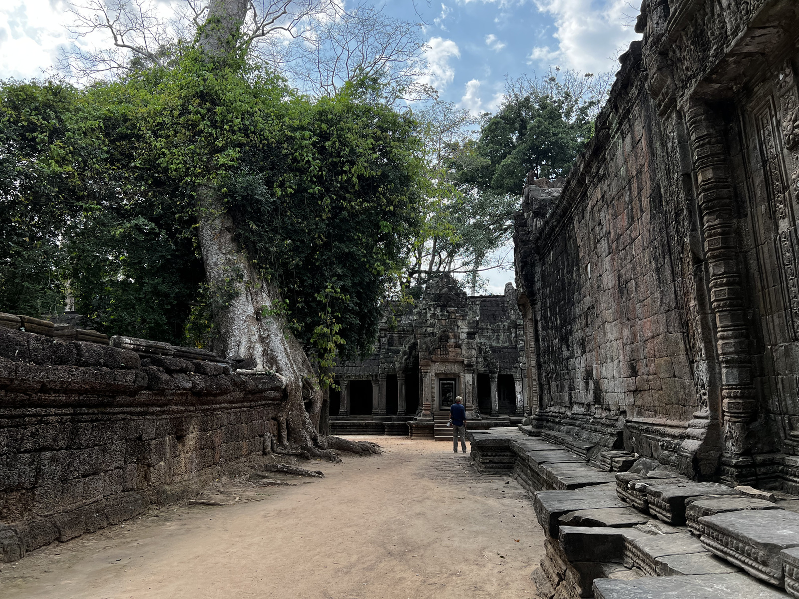 Photo Cambodge Siem Reap Ta Prohm 2023-01 41