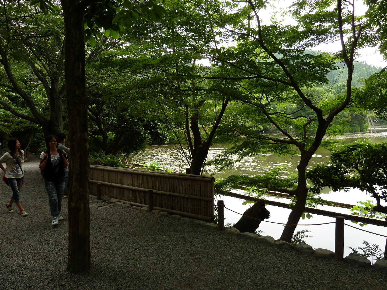 Photo Japon Kyoto temple Ryoanji 2010-06 58